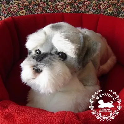 ニニアンドキノ ぬいぐるみ 犬 リアル 寝そべりわんこ シュナウザー 全長約40cm 本物 そっくり ペット 母の日 クリスマス ギフト 爆買