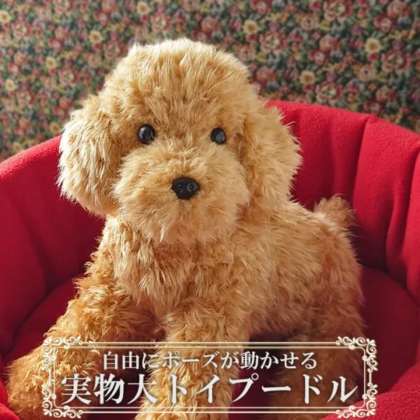 トイプードル ぬいぐるみ 犬 リアル 実物大 【 ポーズが変えられる トイプードル アプリコット 茶 】 ペットロス 誕生日 プレゼント ギフト クリスマス
