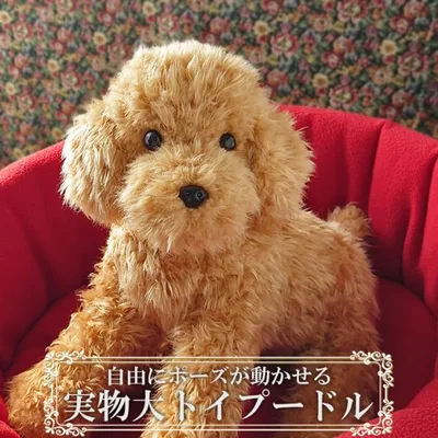 トイプードル ぬいぐるみ 犬 リアル 実物大 【 ポーズが変えられる トイプードル アプリコット 茶 】 ペットロス 誕生日 プレゼント ギフト クリスマス
