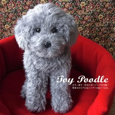 トイプードル ぬいぐるみ 犬 リアル 実物大 【 ポーズが変えられる トイプードル シルバー グレー 】 ペットロス 誕生日 プレゼント ギフト クリスマス