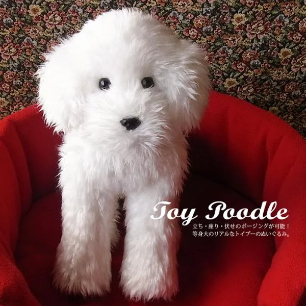 トイプードル ぬいぐるみ 犬 リアル 実物大 【 ポーズが変えられる トイプードル 白 ホワイト 】 ペットロス 誕生日 プレゼント ギフト クリスマス