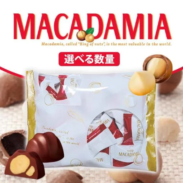 明治 マカダミアチョコレート 2袋 計50粒 マカダミアナッツ チョコレート 大容量 マカダミアチョコ 個包装 小分け チョコ まとめ買い 明治 ナッツチョコ おやつ