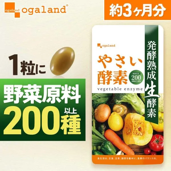 酵素サプリ やさい酵素(約3ヶ月分)サプリメント 乳酸菌 酵母菌 酢酸菌 サプリメント 野菜不足 ダイエット ビタミン 健康 美容 ポイント利用