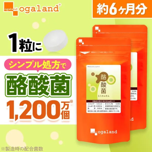 酪酸菌 (約6ヶ月分) サプリ サプリメント 乳酸菌 オリゴ糖 ビフィズス菌 菌活 短鎖脂肪酸 善玉菌 健康 美容 ダイエット 小粒 ポイント利用