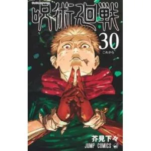 呪術廻戦 30 これから レンタル落ち 中古 コミック Comic