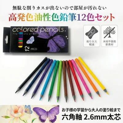 高発色油性色鉛筆12色セット 六角軸2.6mm太芯 折れにくい 塗り絵 スケッチ 文房具 色鉛筆 色鉛筆セット お絵描き 塗り絵 スケッチ