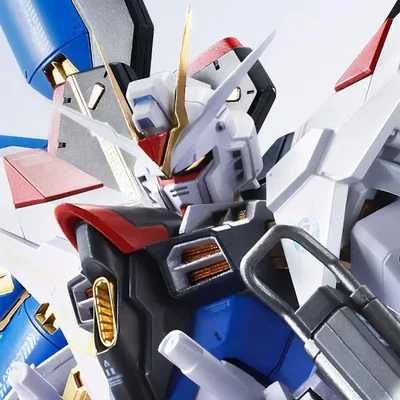 【即納新品】METAL ROBOT魂 <SIDE MS> ストライクフリーダムガンダム弐式 塗装済可動フィギュア