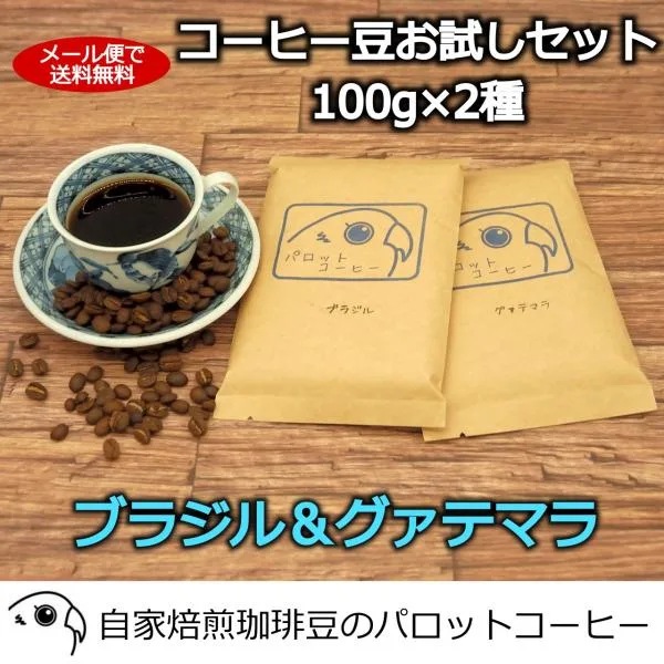 コーヒー豆 お試し セット 200g ブラジル グァテマラ 各100g 送料無料 自家焙煎 スペシャルティコーヒー