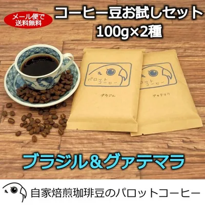 コーヒー豆 お試し セット 200g ブラジル グァテマラ 各100g 送料無料 自家焙煎 スペシャルティコーヒー