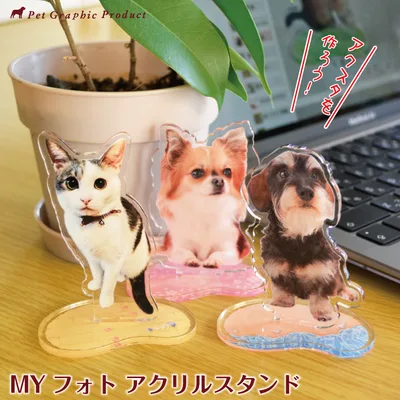 アクリルスタンド アクスタ 写真 猫 オリジナル ダイカット 切り抜き 犬 ペット以外もOK ギフト プレゼント 置物 インテリア 飾り MYフォト