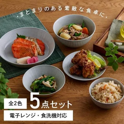 食器セット 食器 おしゃれ 5点セット 皿 小鉢 茶碗 丼ぶり プレート ボウル 電子レンジ対応 食洗機対応 MNW-5S アイリスオーヤマ