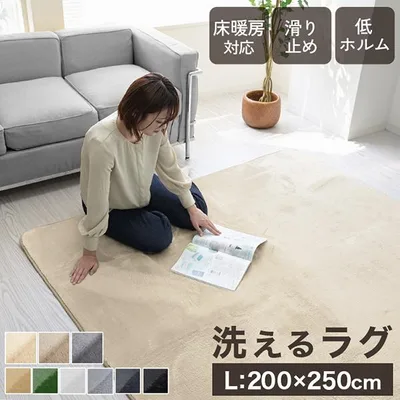 ラグ 3畳 カーペット ラグマット 洗える 夏用 200×250 オールシーズン おしゃれ 滑り止め付 抗菌 防ダニ 床暖房対応 フランネル 絨毯 北欧