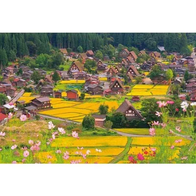ジグソーパズル 1000ピース コスモスゆれる白川郷 岐阜 日本風景 アップルワン 敬老の日 1000-865