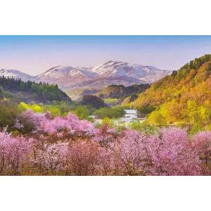 ジグソーパズル 1000ピース 春茜 月山と大山桜 山形 日本風景 アップルワン 敬老の日 1000-910