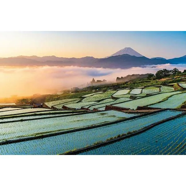 ジグソーパズル 1000ピース 朝焼けの富士と棚田 山梨 日本風景 アップルワン 敬老の日 1000-914