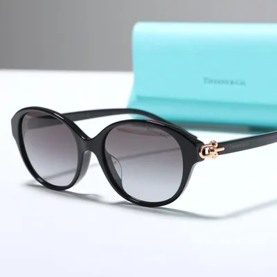 Tiffany&Co. ティファニー サングラス HardWear ハードウェア TF4263-D レディース オーバル型 セルフレーム フルリム アジアンフィット 8001/3C