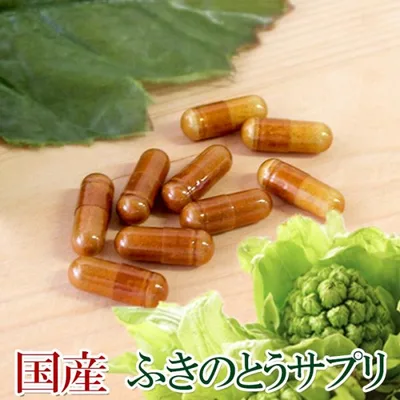 国産ふきのとうサプリメント90粒 日本産 ペタシン サプリメント 蕗の薹 フキノトウ 粉末 ふきのとう