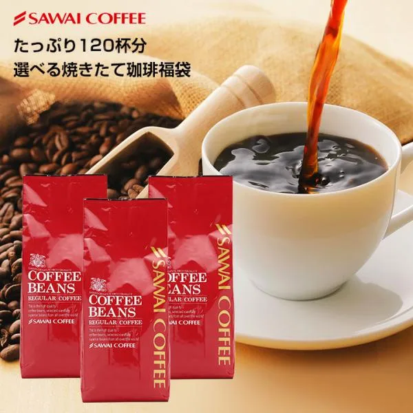 コーヒー豆 コーヒー コーヒー粉 お試し 選べる焼きたての甘い香りの極上のコーヒー120杯 福袋 レギュラーコーヒー 【RD】 【TS】