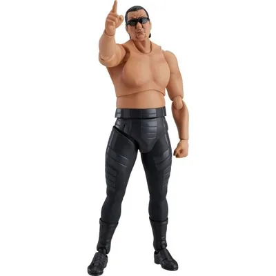 figma 蝶野正洋 ノンスケール ABS&PVC製 塗装済み可動フィギュア