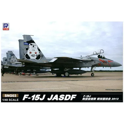 ピットロード 1/48 F-15J 航空自衛隊 SNG03 戦技競技会 2013 4986470018201