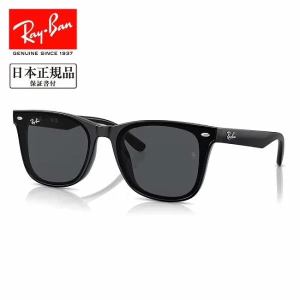 Ray-Ban レイバン RB4391D 601/87 65 RB4391D 【 日本正規品 サングラス ローブリッジフィット 運転 ドライブ 紫外線 UV アウトドア 】
