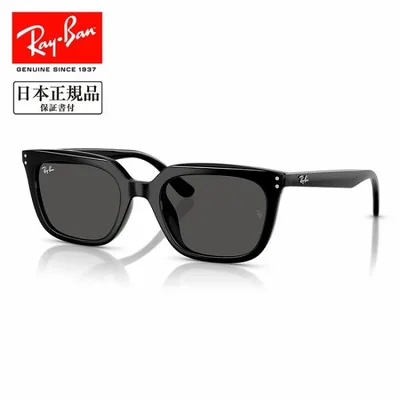 Ray-Ban レイバン RB4439D 901/87 54 RB4439D 【 日本正規品 サングラス ローブリッジフィット 運転 ドライブ 紫外線 UV アウトドア 】