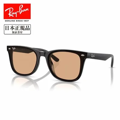 Ray-Ban レイバン RB4391D 601/93 65 RB4391D 【 日本正規品 サングラス ローブリッジフィット 運転 ドライブ 紫外線 UV アウトドア 】