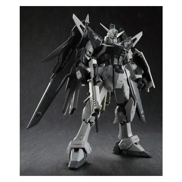 【新品】1週間以内発送 RG 1/144 デスティニーガンダム ディアクティブモード 組み立て式プラモデル ガンプラ