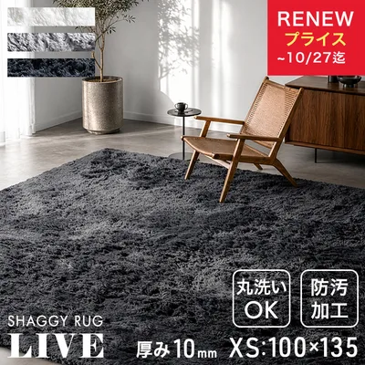 ラグ シャギーラグ 高密度 100×135 1畳 洗える 防汚 ラグマット カーペット 絨毯 厚手 洗えるラグ 夏用ラグ オールシーズン おしゃれ 90900032