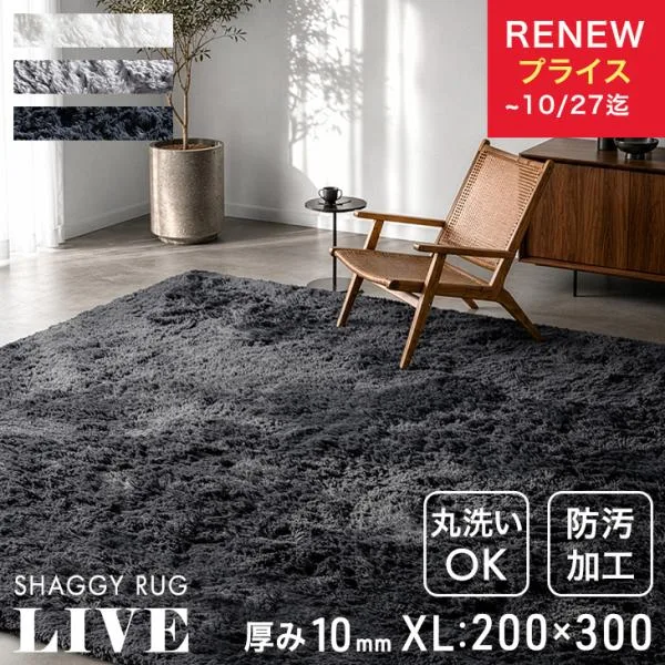 本日+4% ラグ シャギーラグ 高密度 200×300 4畳 洗える 防汚 ラグマット カーペット 絨毯 厚手 洗えるラグ 夏用ラグ オールシーズン おしゃれ