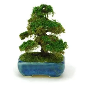 模型 ミニチュア盆栽 ぼんさい THE BONSAI 1/12 角鉢杉 紺 BONT04 完成品 PLATZ プラッツ 特価 ギフト 爆買