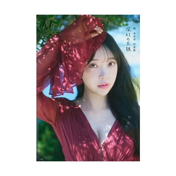藤原宏 堀未央奈写真集 深紅の余韻 Book ※特典あり