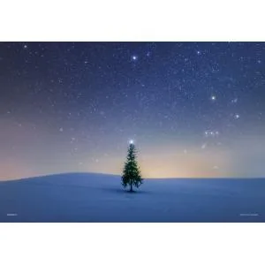ジグソーパズル シリウスのツリー(北海道) 300ピース YAM-03-966
