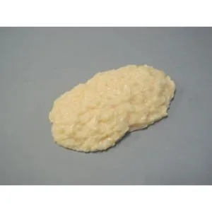 脂肪模型 1kg IP-970