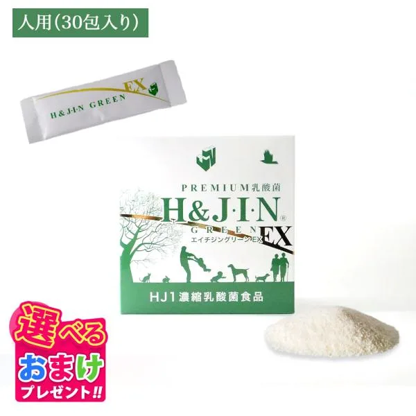 おまけ付き 乳酸菌 エイチジングリーンEX 人用 30包入り H&JIN 小分け 持ち運び 人 安心 HJ1乳酸菌 乳酸菌食品 副作用無し 免疫サポート サプリメント