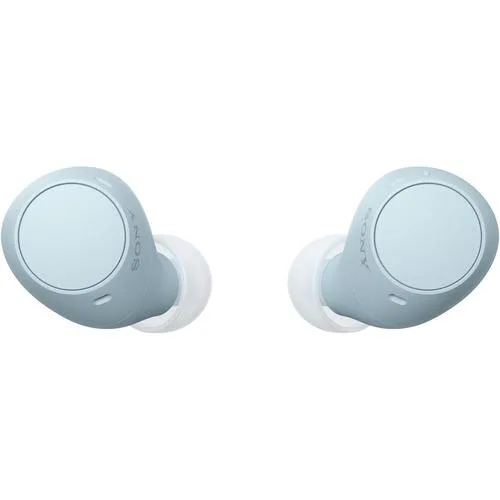 ソニー ワイヤレス イヤホン 左右分離 IPX4 最大22時間 USB-C WF-C510 WFC510 LZ ブルー系
