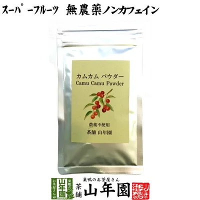 健康食品 無農薬 カムカムパウダー 40g ペルー産 粉末 ノンカフェイン