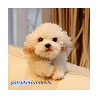 犬 いぬ マルチーズ ぬいぐるみ ふわふわ おもちゃ 玩具 キッズ 彼女 ギフト プレゼント シミュレーション おもちゃ かわいい 贈り物
