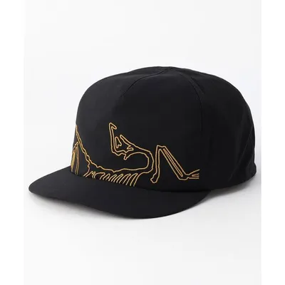 Cap Hat Men's ARC'TERYX/Silex Cap/Silex Cap Men's Women's
