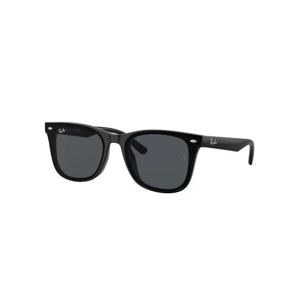 サングラス 「ZOZOTOWN」人気 No.2 Ray-Ban レイバン サングラス 0RB4391D (アジアンデザインモデル・ローブリッジフィット) 紫外線対策 メンズ レディース