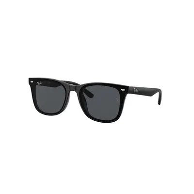 サングラス 「ZOZOTOWN」人気 No.2 Ray-Ban レイバン サングラス 0RB4391D (アジアンデザインモデル・ローブリッジフィット) 紫外線対策 メンズ レディース
