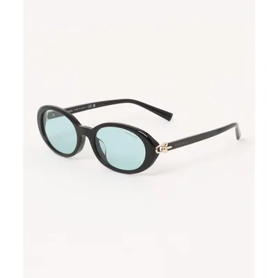 サングラス 「ティファニー/TIFFANY&Co.」オーバル サングラス TF4242D 8001D9 レディース メンズ
