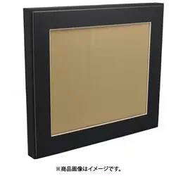 フジカラー FUJICOLOR 半切 ブラック マットパネルDX