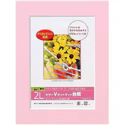 ナカバヤシ Nakabayashi DigioカラーVカットマット台紙 2Lサイズ ピンク DGVM-2L-P
