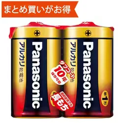 2 AA alkaline batteries LR20XJ/2SE