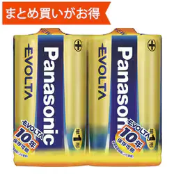 2 AA alkaline batteries EVOLTA LR20EJ/2SE