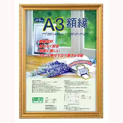 ナカバヤシ Nakabayashi 樹脂製賞状額 金ケシ A3 フ-KWP-40/N