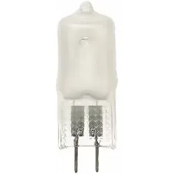 プロフォト Profoto D1 モデリングランプ300W120V 102071