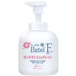 ベーテル・プラス 泡ベーテルF 清拭料 500ml BF02
