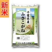 精米 千葉県産ふさこがね 5kg 令和8年産